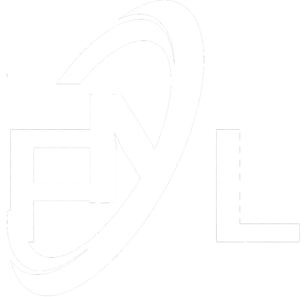 Felion Nigeria Limited logo